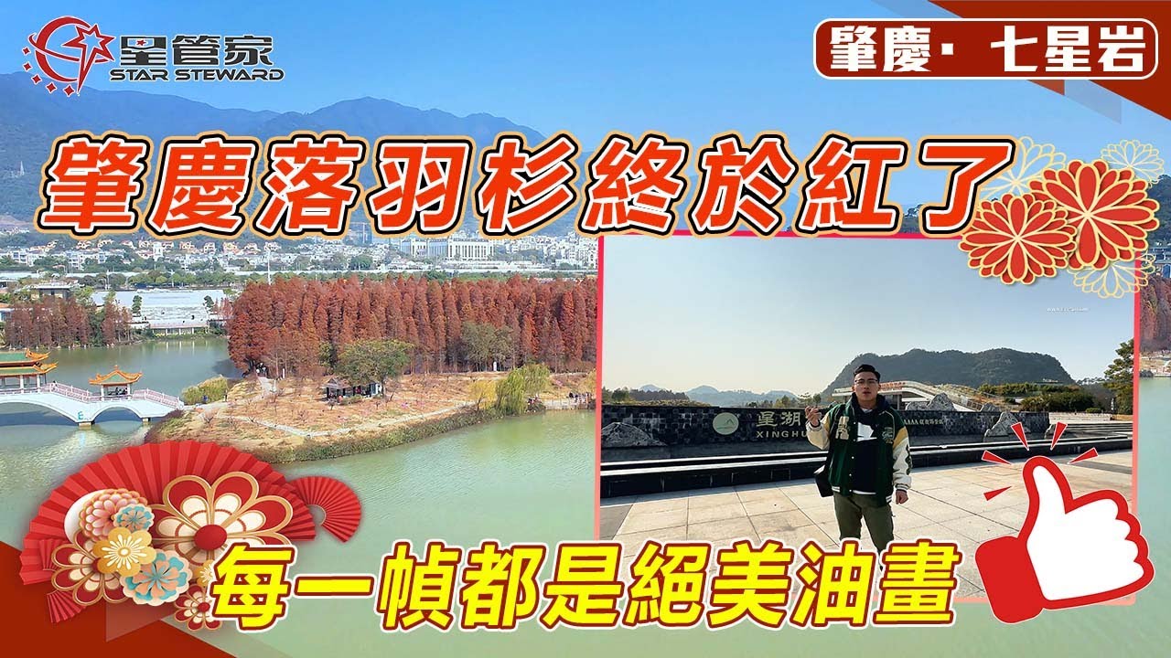 肇慶七星岩景區｜又到欣賞最美落羽杉和桃花的時候！成片的落羽杉林！｜在冬日呈現熱烈的紅色與黃色交織！手機隨手一拍驚艷朋友圈！