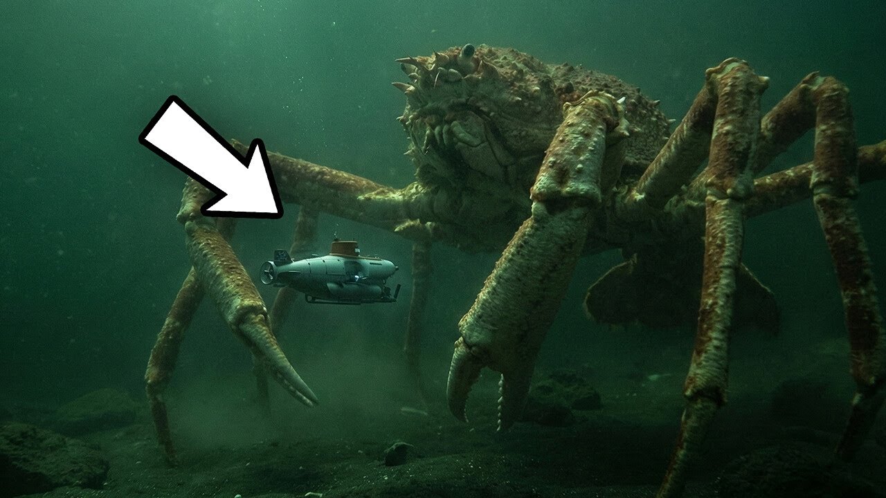 Dlaczego stworzenia głębinowe stają się przerażającymi gigantami?