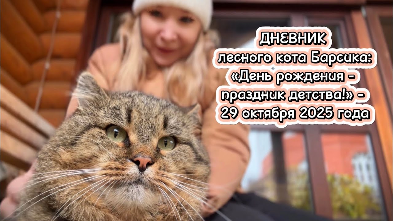 ДНЕВНИК лесного кота Барсика: &laquo;День рождения - праздник детства!&raquo;  - 29 октября 2025 года