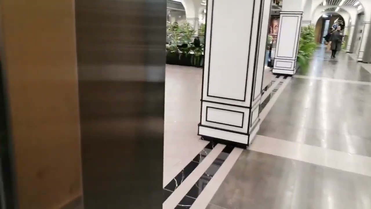 Тц Oasis Mall.Элитные лифты Baslift.