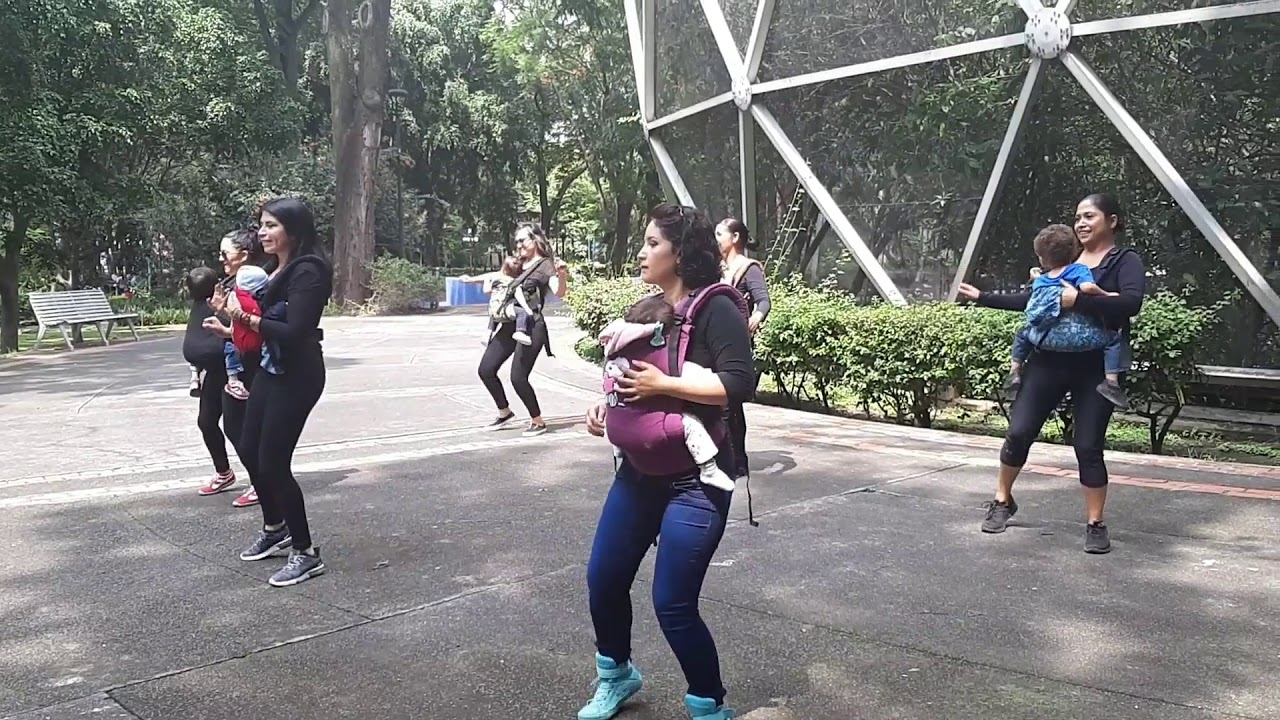 Flash Mob Guadalajara 2018 (SICB)