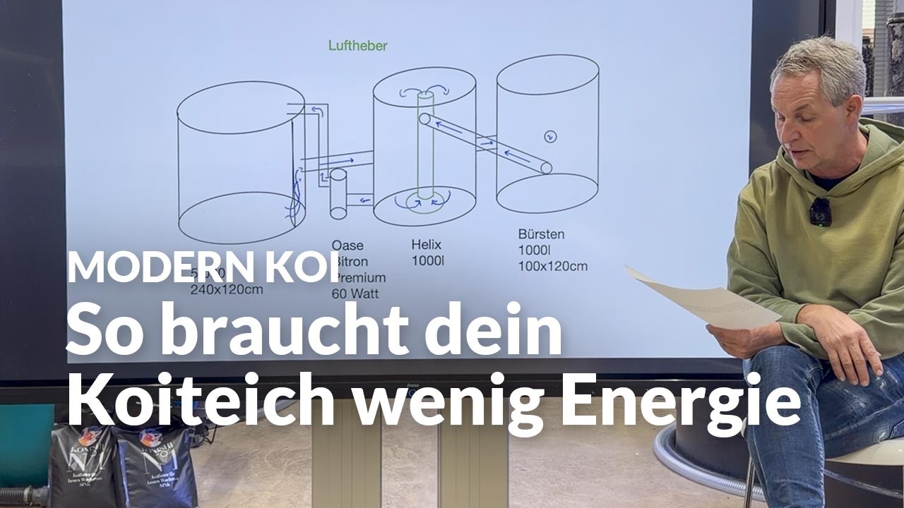 Wie effizient kann ein Koiteich wirklich sein? | Nowoczesny blog o Koi #8016