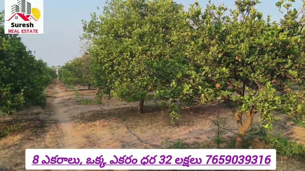 8 ఎకరాల భూమి అమ్మకం నల్గొండ జిల్లాలో