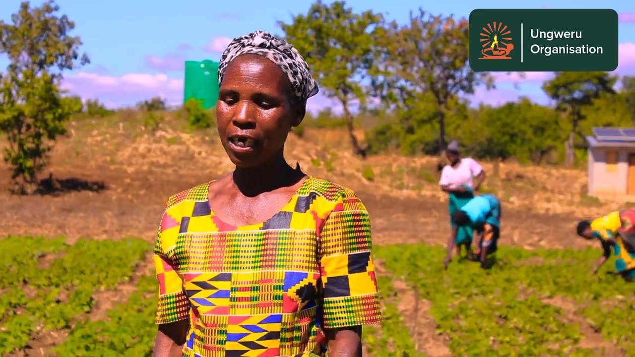 From Hunger to Harvest: How a Malawi Village Transformed Its Future