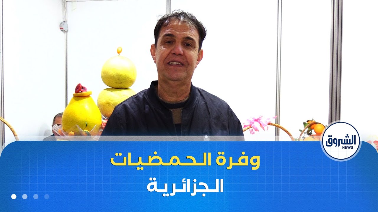 ريبورتاج| الحمضيات الجزائرية.. بين الابتكار و وفرة الإنتاج
