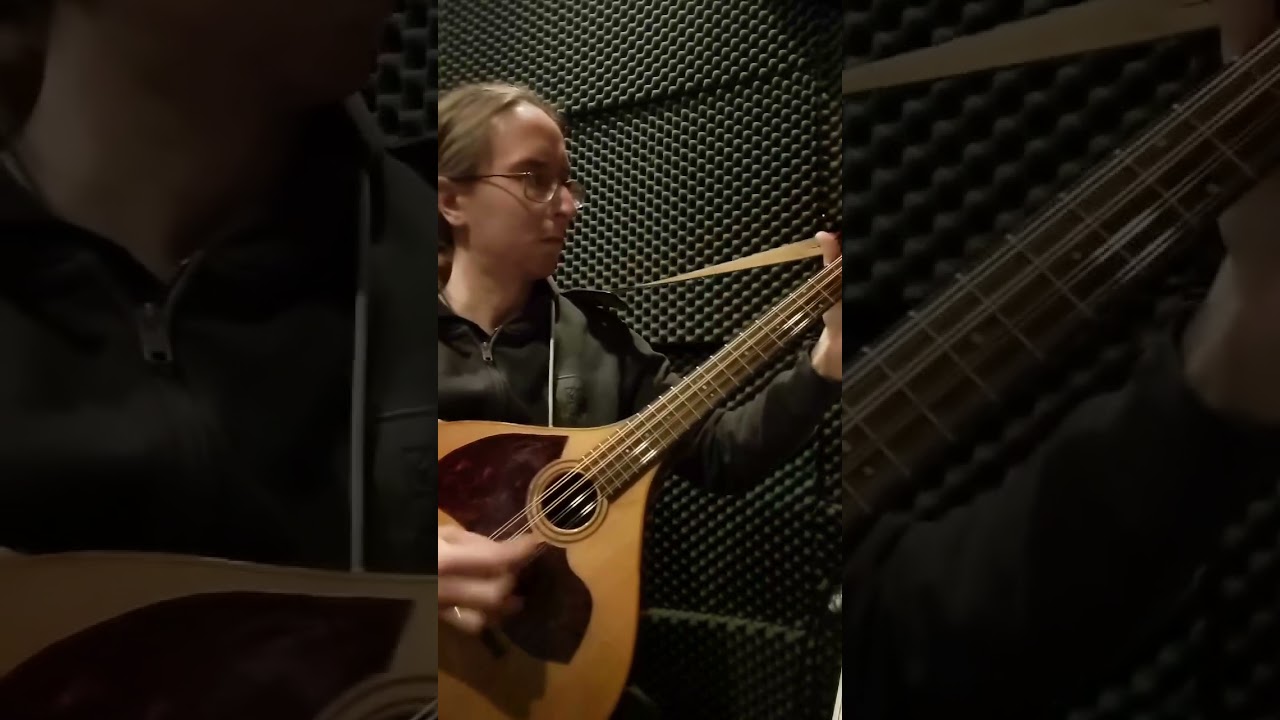 Bouzouki reels: The Concertina, The Earl's Chair, The Wind that Shakes the Barley