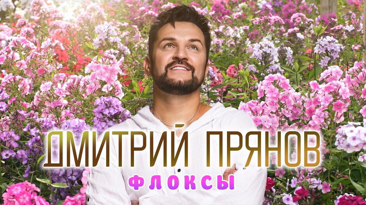 Дмитрий Прянов — Флоксы (Official Video)