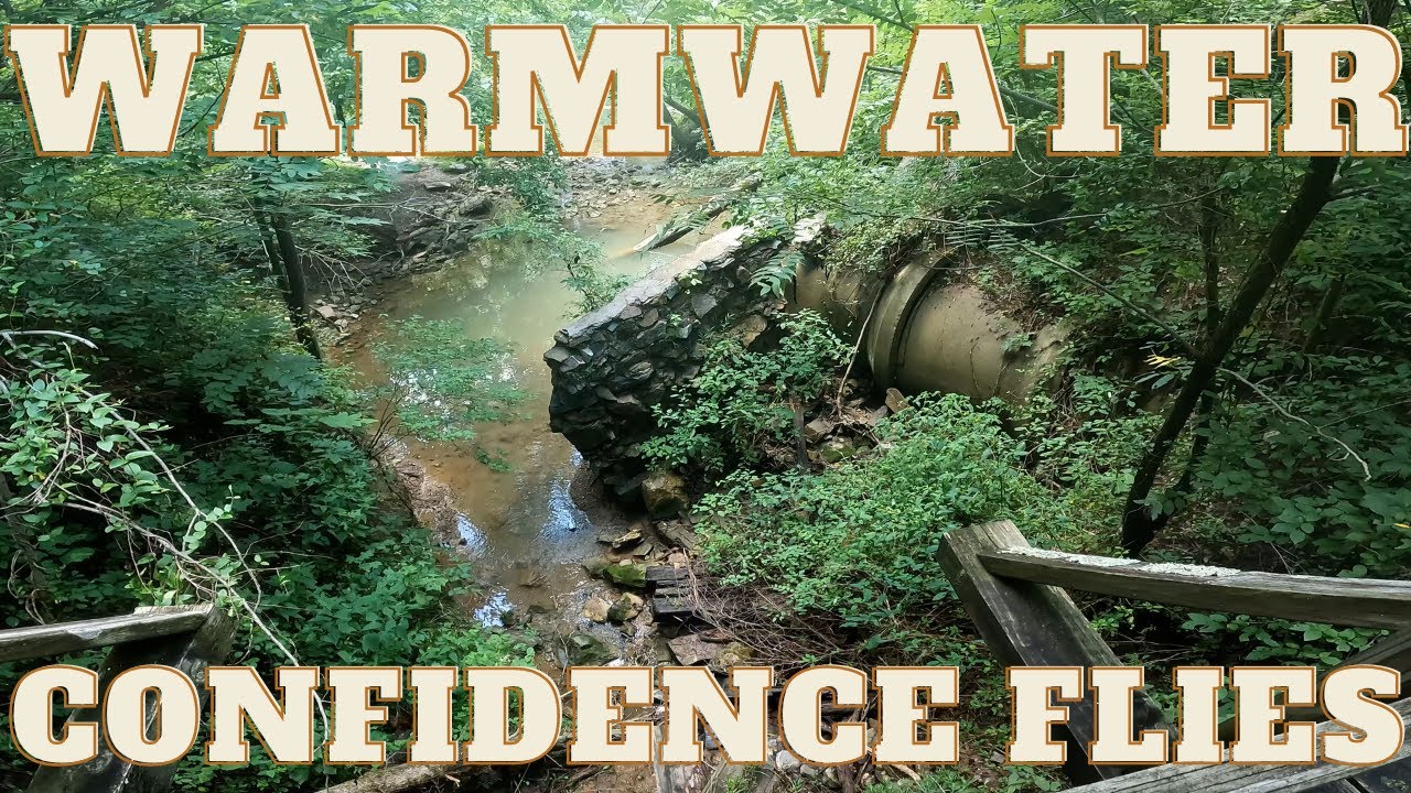 Must-Have Warmwater Confidence Flies For Bass Revealed!