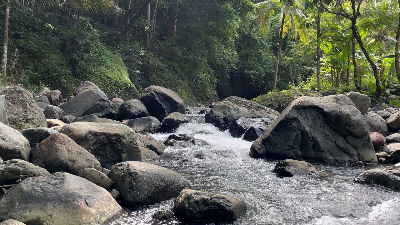 Deep Sleep River Sounds 😴 Nature White Noise for Ultimate Relaxation
