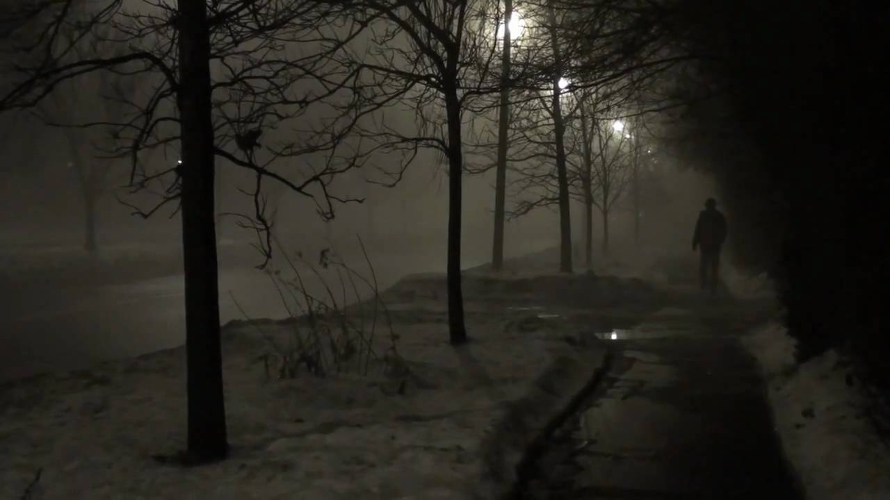 Sony TG1 fog shots