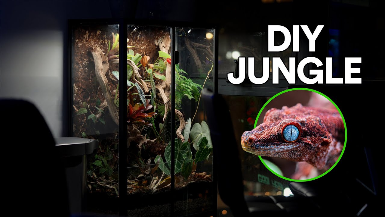 Converting an IKEA Rudsta Into a Bioactive Greenhouse Vivarium