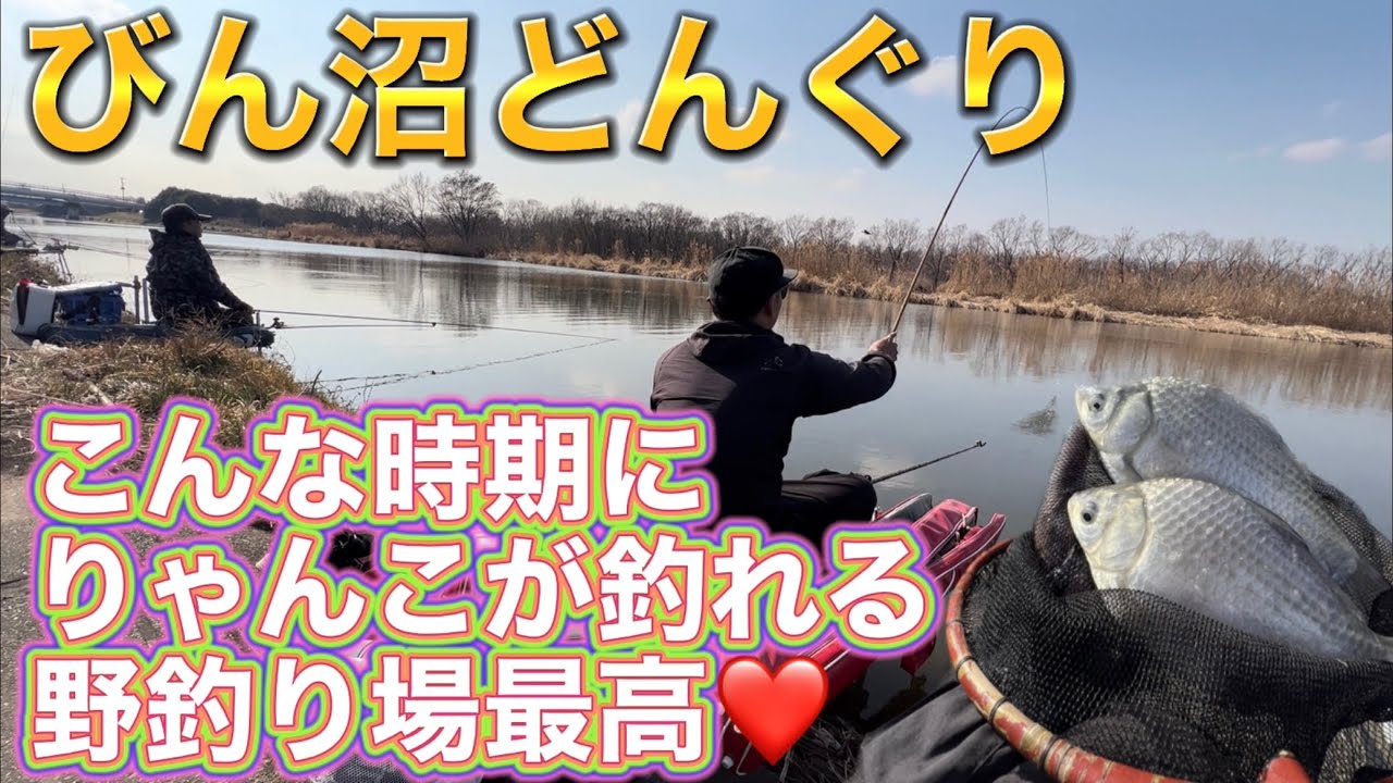 びん沼どんぐり！こんな時期にりゃんこが釣れる野釣り場最高！へらぶな釣り楽しいw