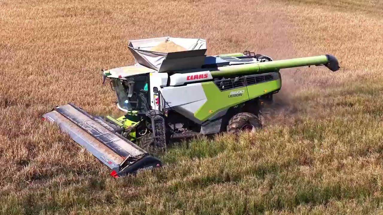 Harvesting Rice with the Rice Edition of the Falcon Stripper Header on a CLAAS Combine