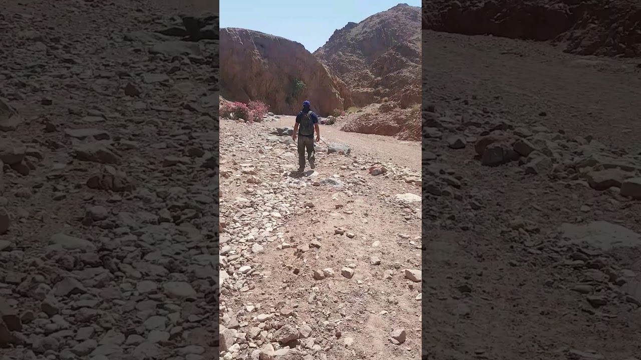 Пешком из Dana nature reserve to Feynan на 8 часов