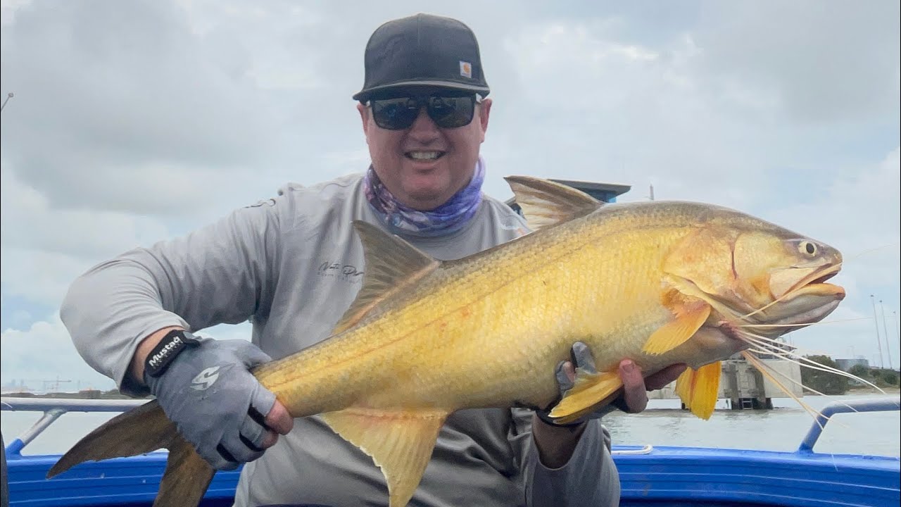 What is it that turns these Brisbane River Threadfin to ON!