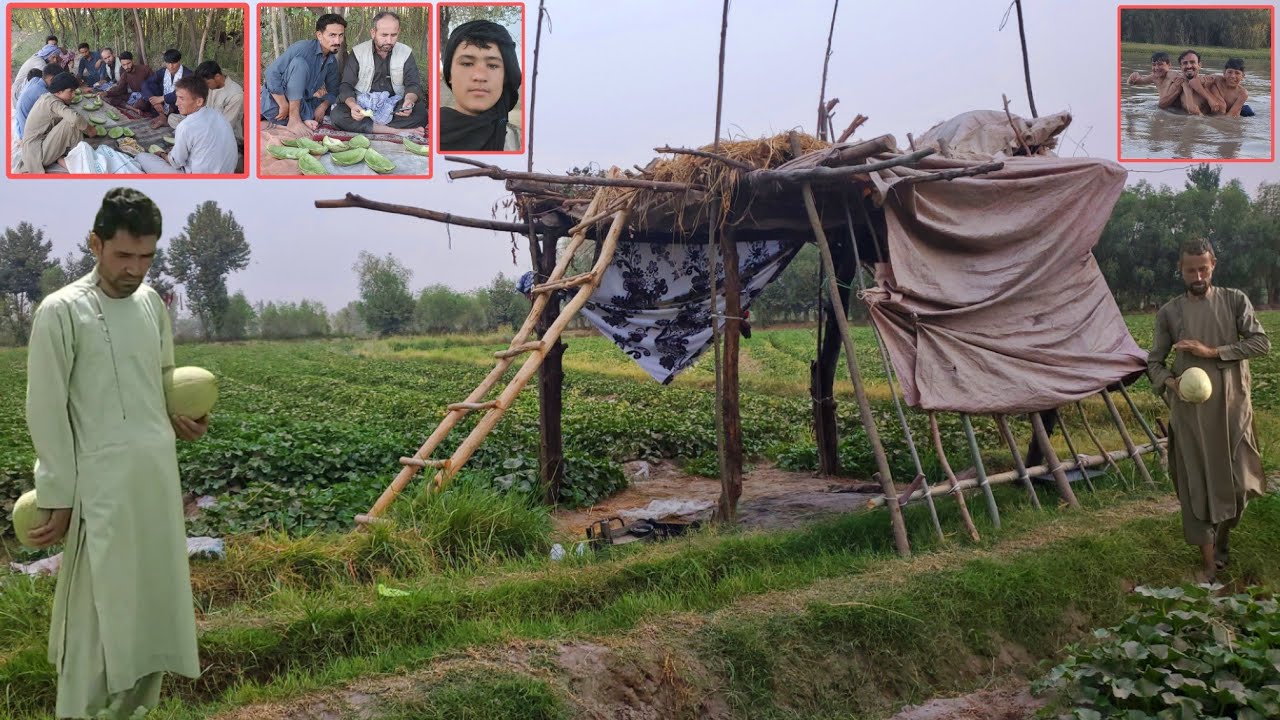 خربوزه خوری سر پالیز و آب بازی در دریا آمو مرز میان تاجیکستان و افغانستان || #our_village