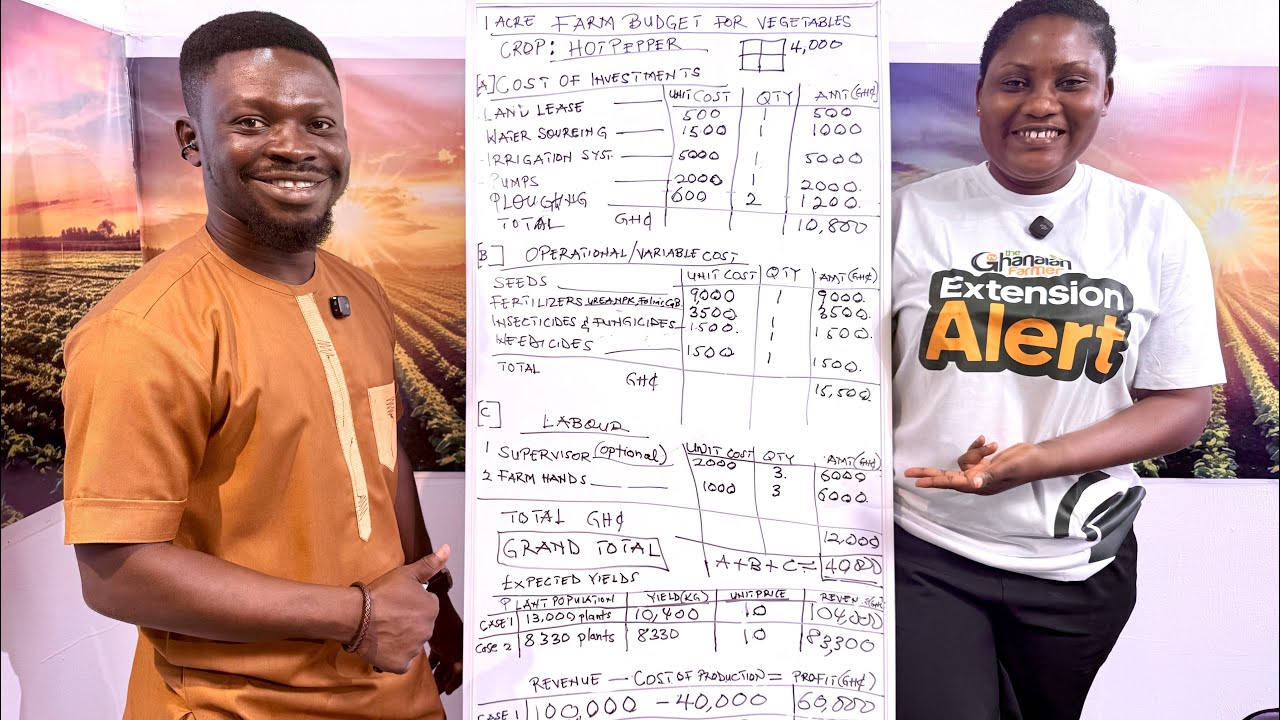 A Detailed Budget Breakdown Of Starting A Profitable One Acre Chilly Pepper Farm - Beginners Guide