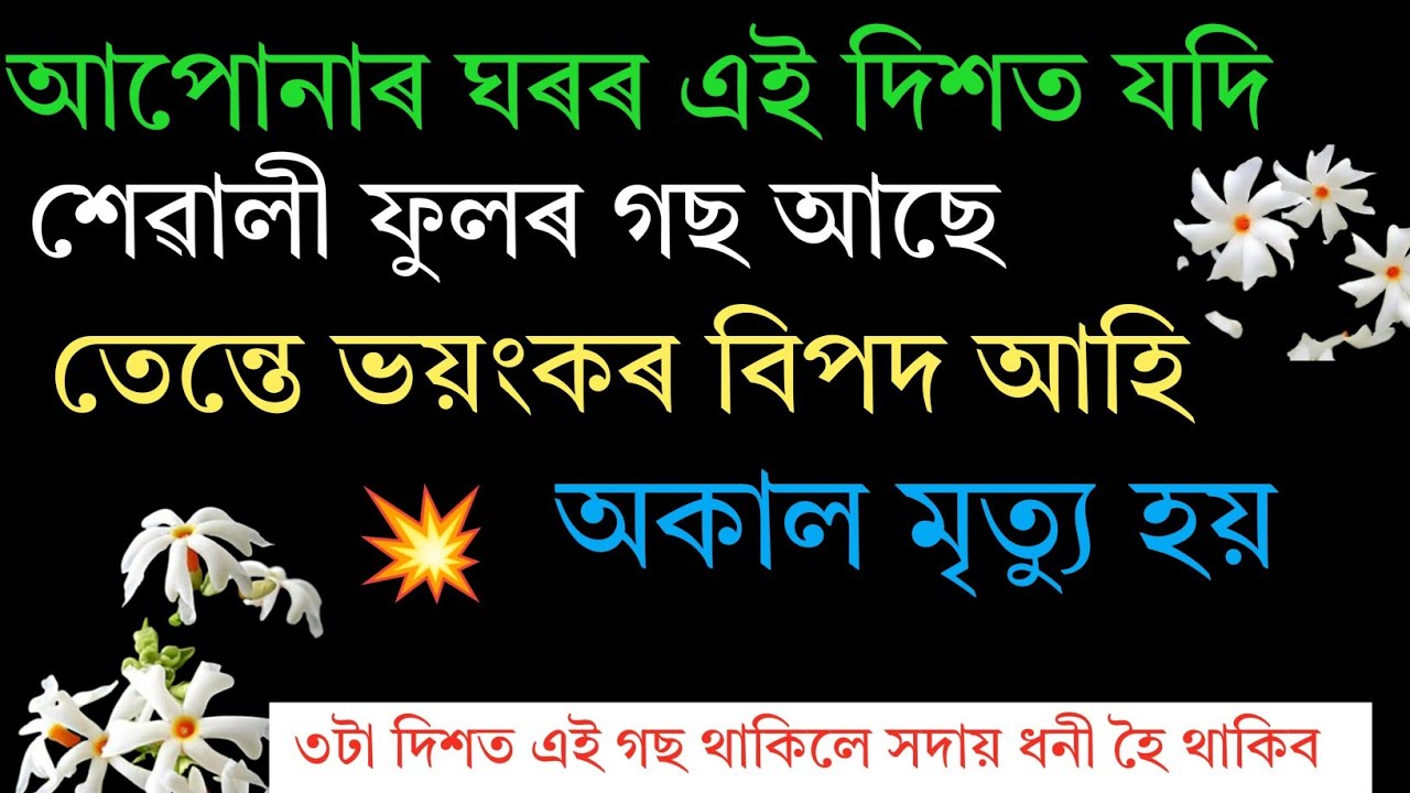 আপোনাৰ ঘৰৰ এই দিশত শেৱালী ফুলৰ গছ কেতিয়াও নাৰাখিব | পৰিয়াল পৰ্যন্ত ধ্বংস হোৱাটো নিশ্চিত || Vastu