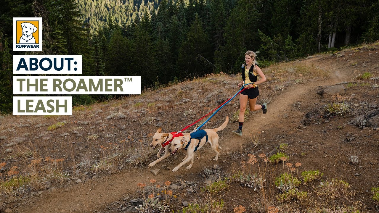 О поводке Roamer™