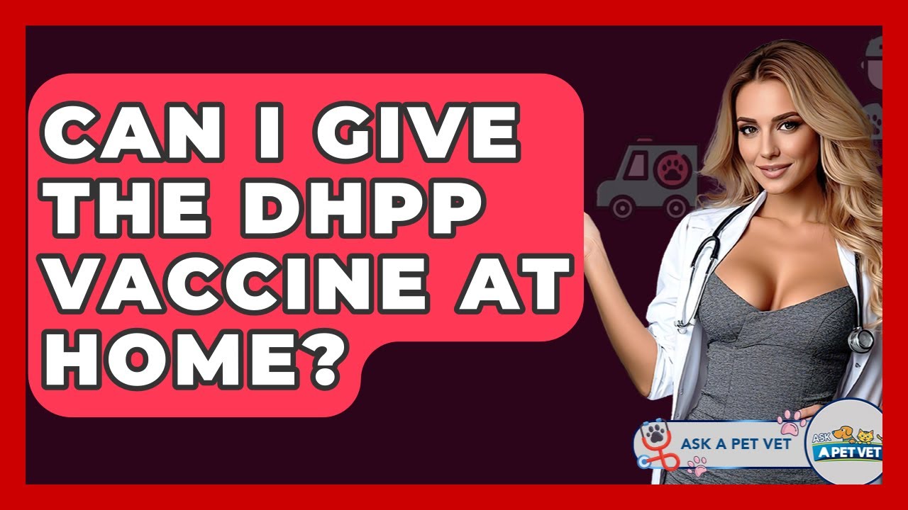 Can I Give The DHPP Vaccine At Home? - Ask A Pet Vet