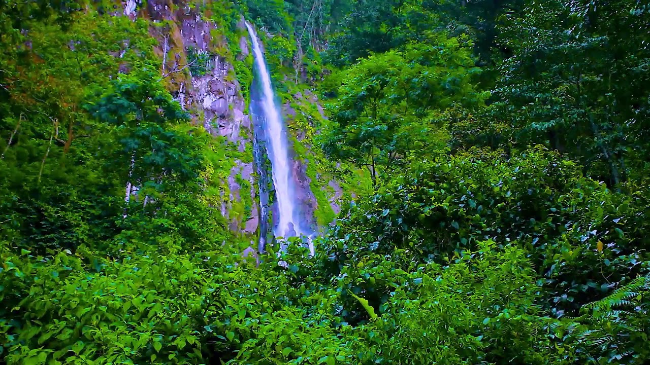 Midnight River Flowing Softly | Deep Sleep Nature White Noise for Better Rest