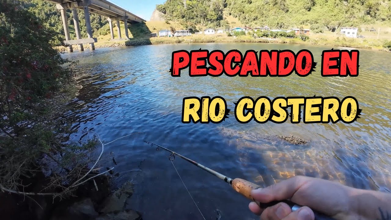 PESCANDO EN RIO COSTERO DEL SUR DE CHILE