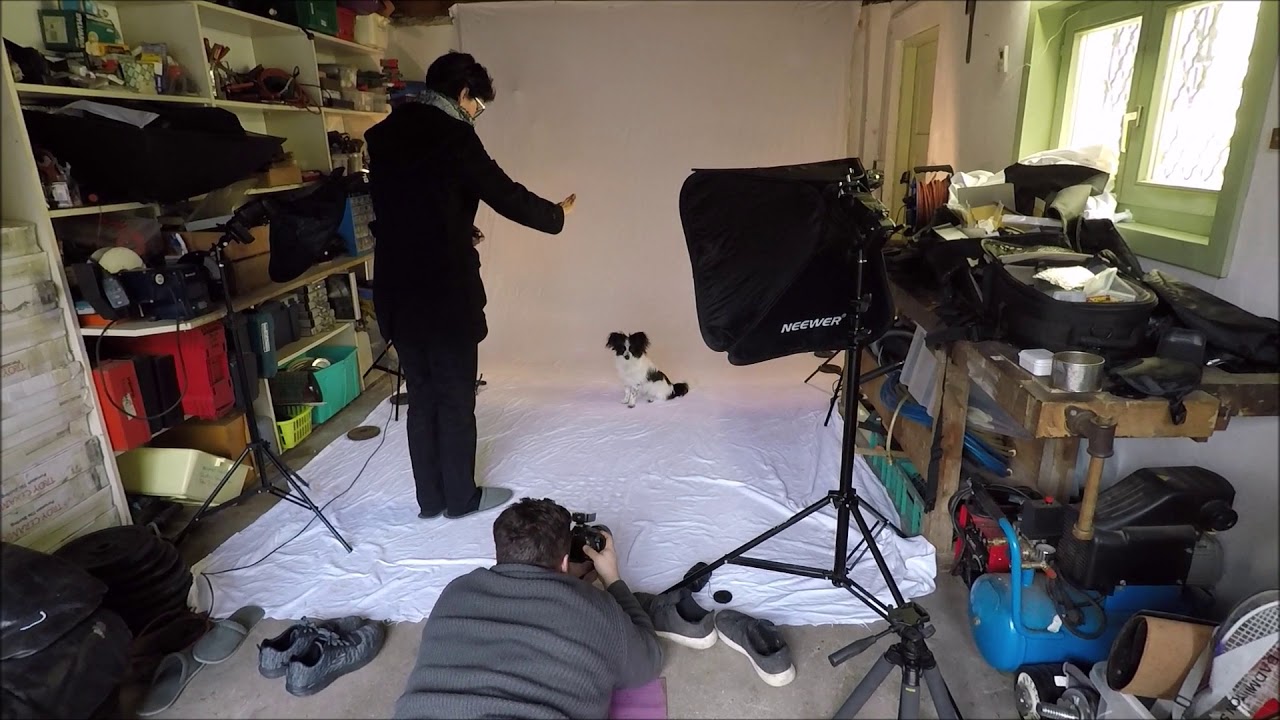 das Hundemodel Casting