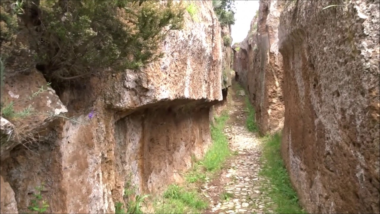 TAGLIATA della QUERCETA video
