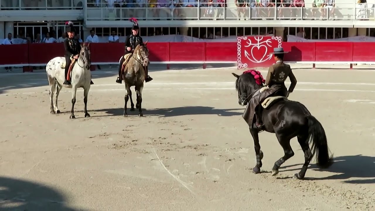 Lunel 2022 - Léa Vicens entre dans les arènes de Lunel