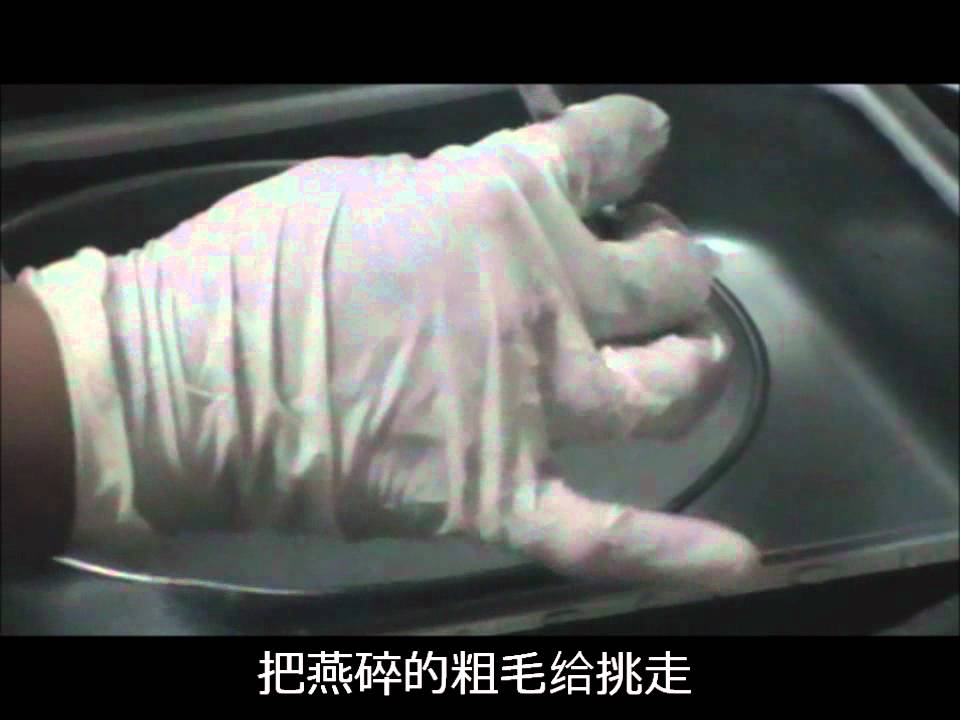清洗燕窝（教学版）.wmv