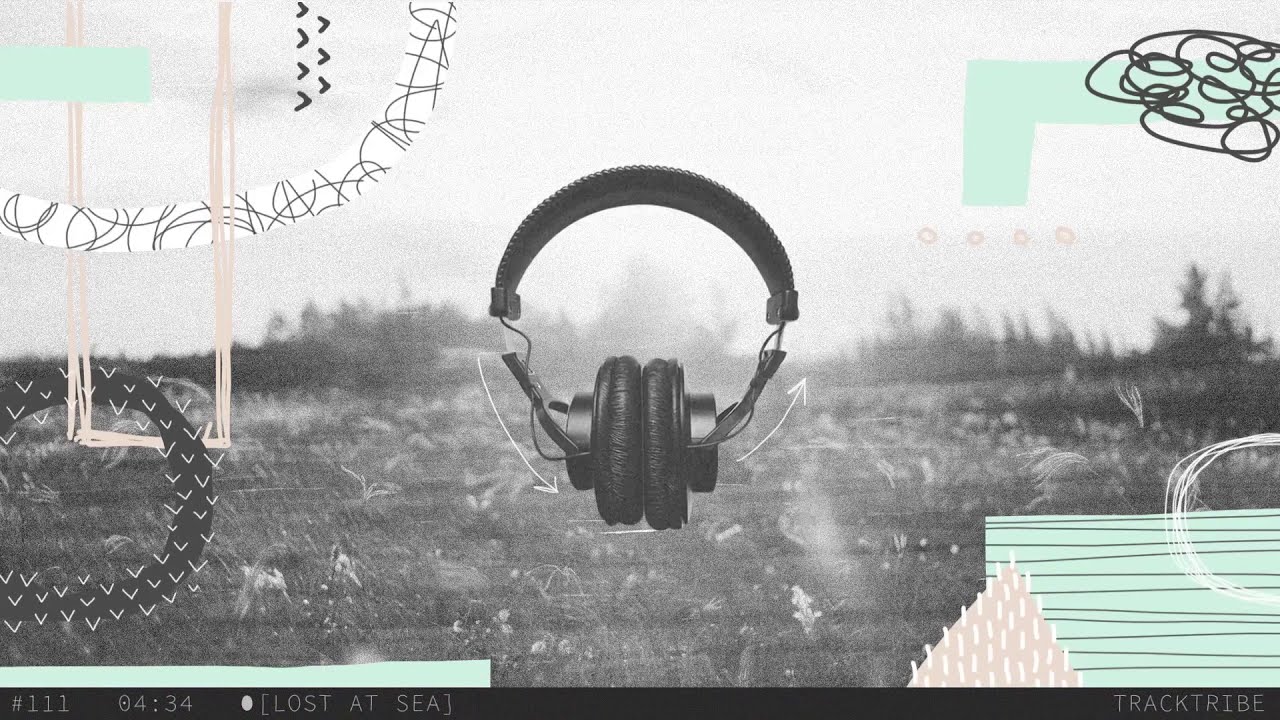 TrackTribe - 