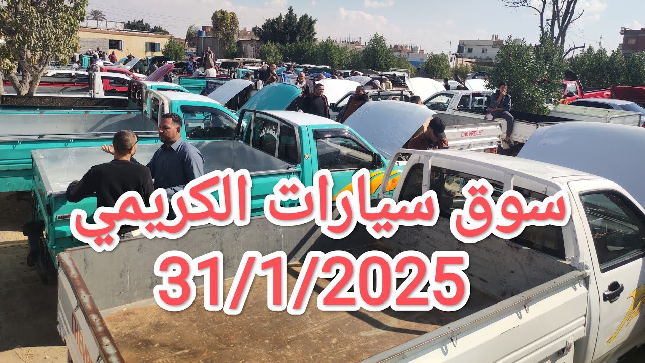 جميع انواع السيارات المستعملة فى سوق الكريمى 31/1/2025