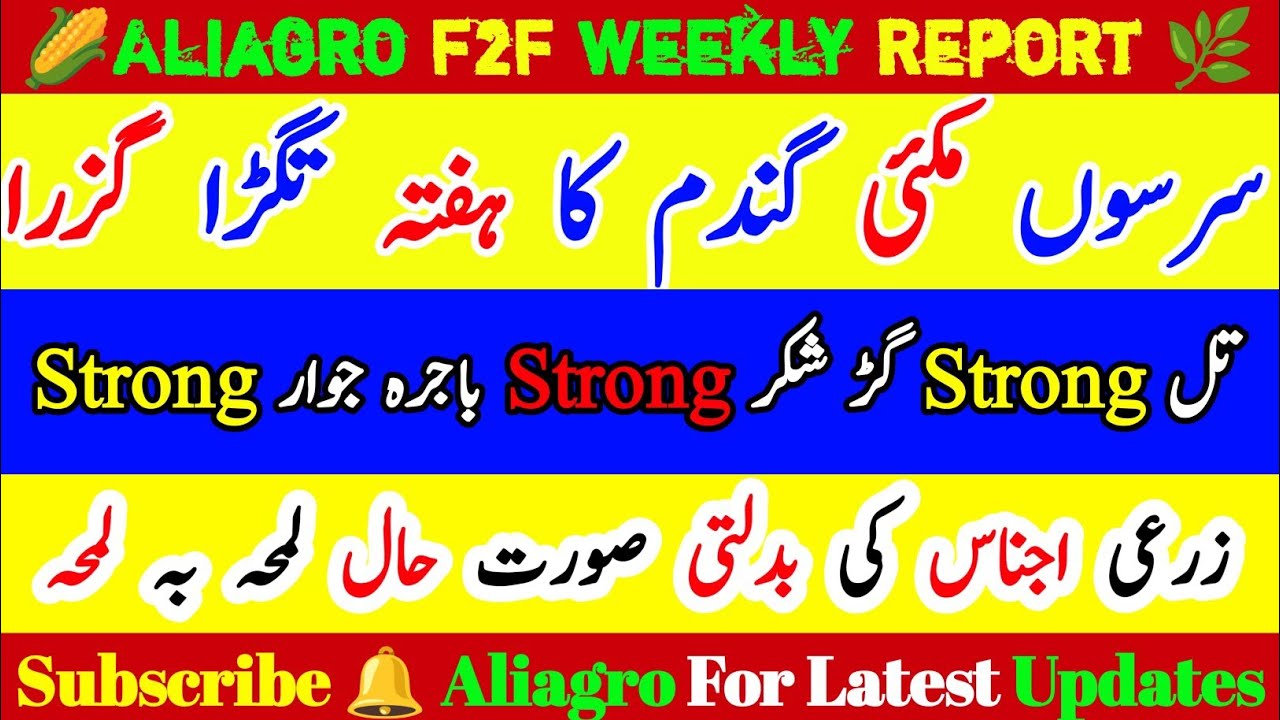 Zarai Ijnas Ke Rates | Daily Ghalla Mandi Rates | Agriculture Commodity Prices | #@aliagro1972