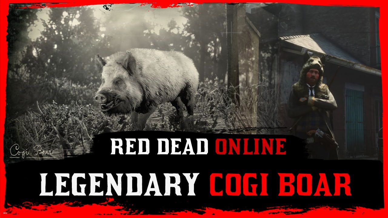 Red Dead Online - Legendary Cogi Boar Location - How To Craft Cogi Boar Garment