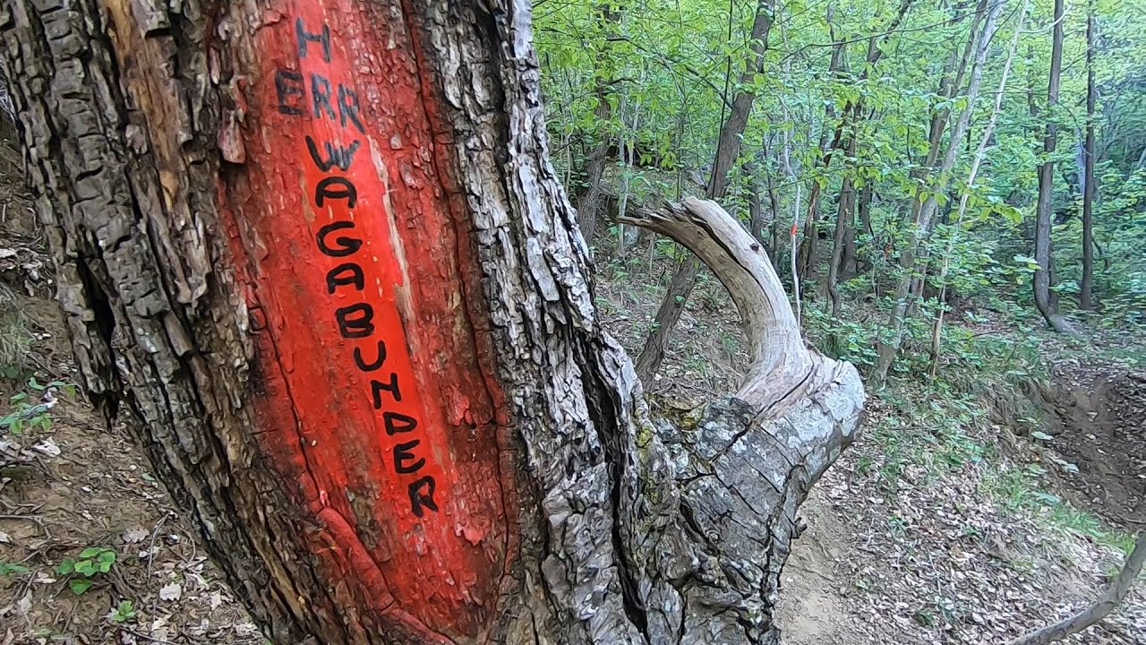22 km di Trail Running sulla Via degli Dei (anello Sasso Marconi - Monte del Frate)