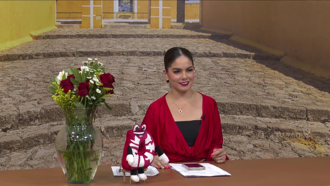 #EnVivo | TELEYUCATAN NOTICIAS VESPERTINO