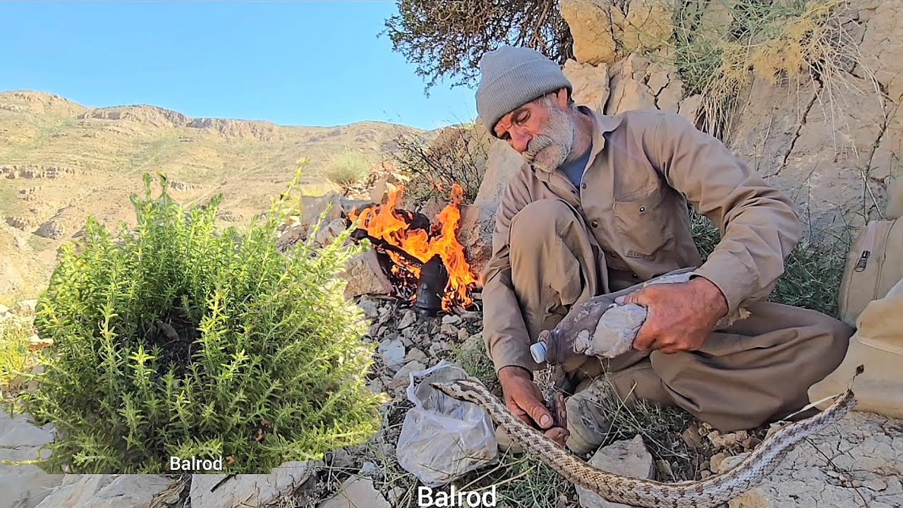 🐐A memorable journey through lush pastures and springs for herding | nomadic life