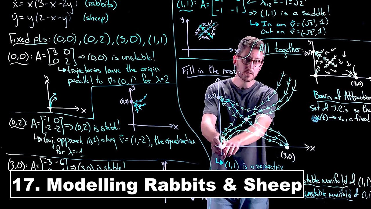 Modelling Rabbits and Sheep - Dynamical Systems | Lecture 17