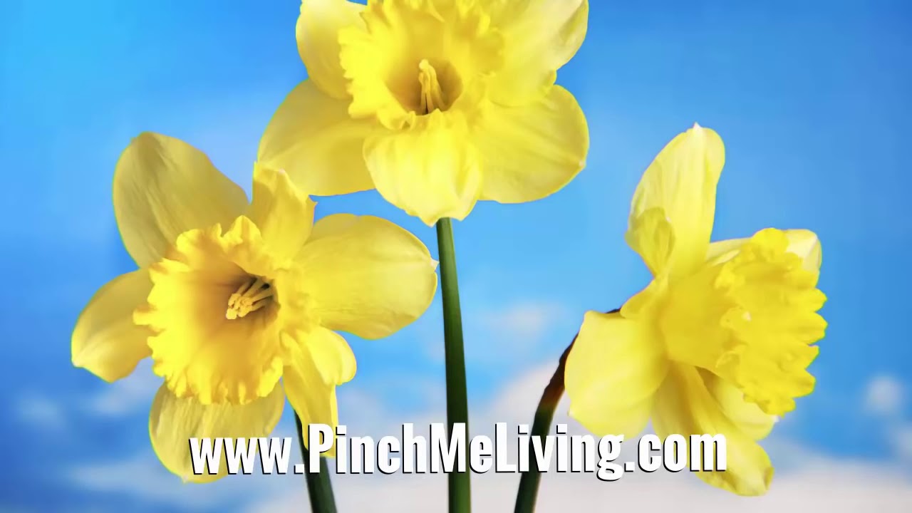 120 Positive Affirmations for Health, Healing & Well being