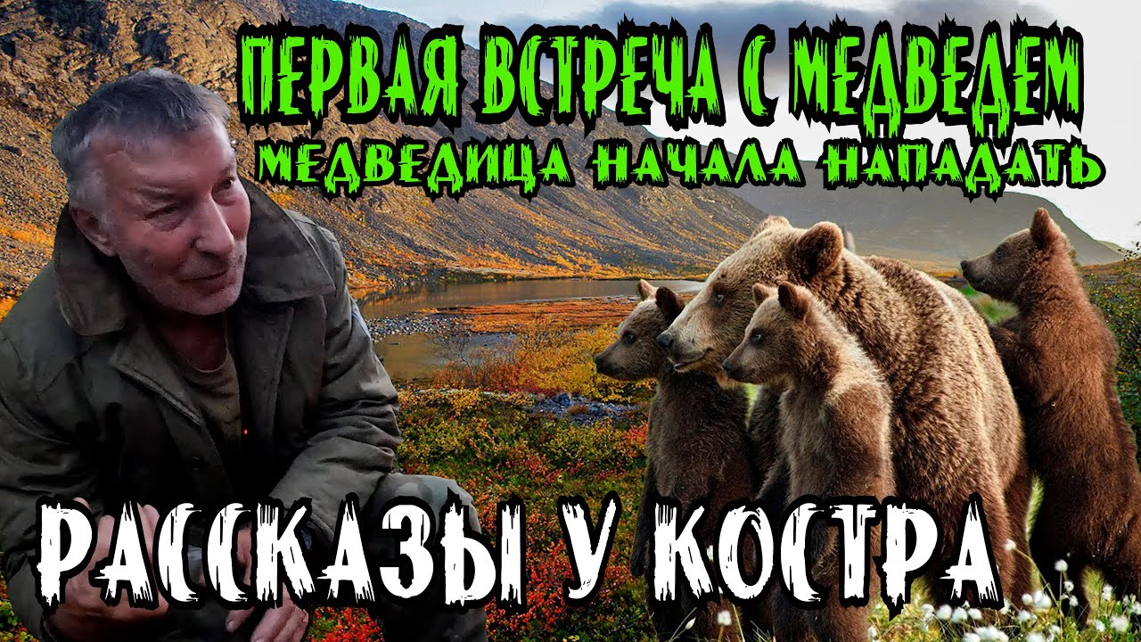Рассказ о первой Встрече с Агрессивной Медведицей. Защищая своих медвежат, чуть не задрала Геологов