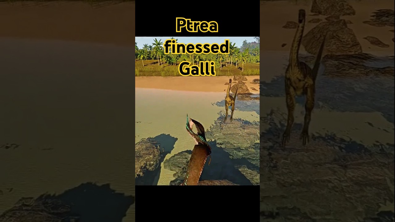 Ptera vs. Galli #theisle #evrima #pt #Ptera #Pteranodon #combat #pvp