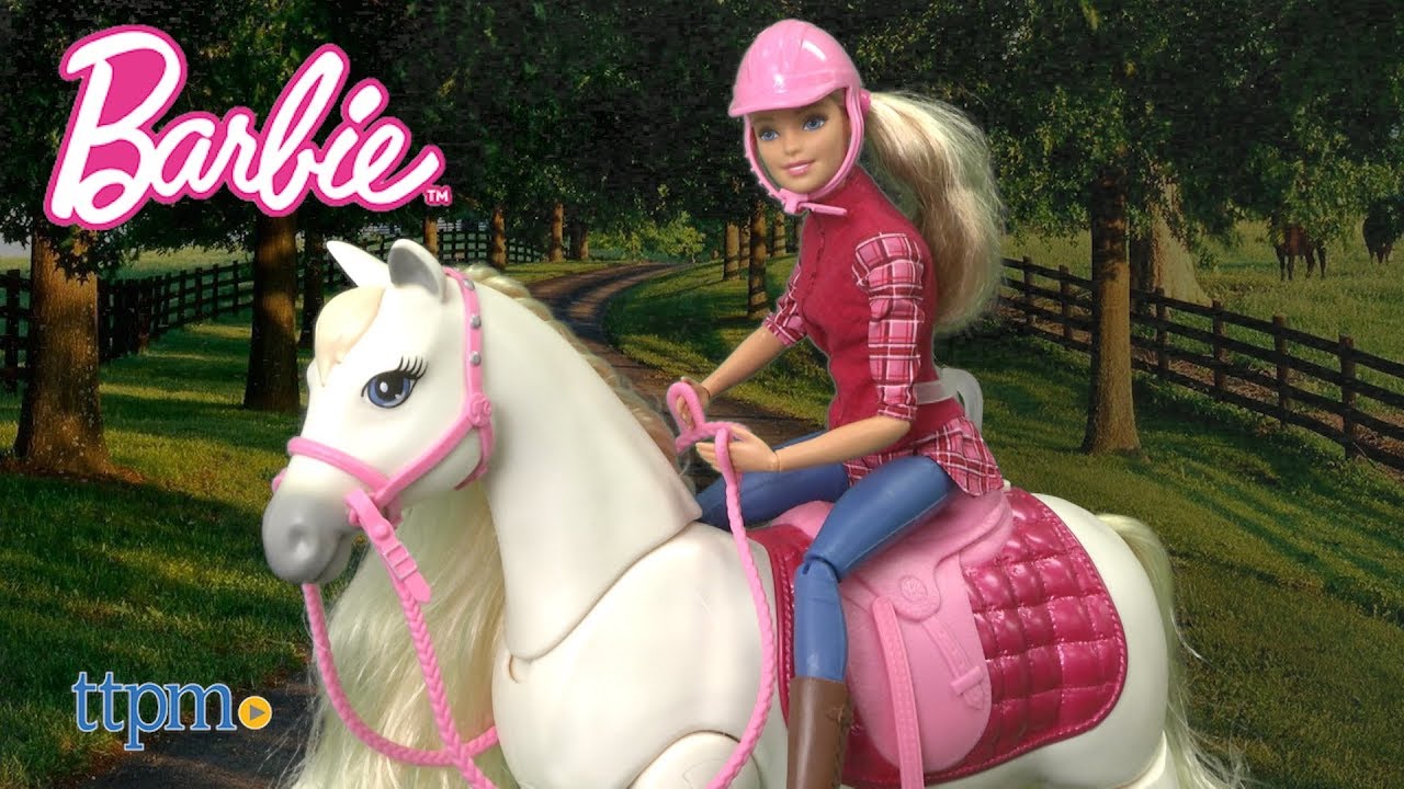 Barbie Dreamhorse and Barbie Doll Playset Review & Instructions | Mattel Toys