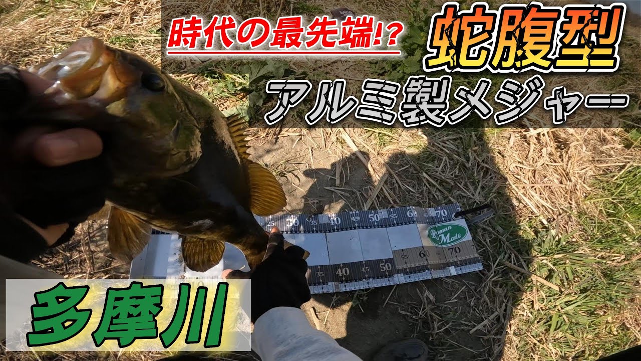 最新式メジャーで多摩川のスモールマウスバスを測ってきた