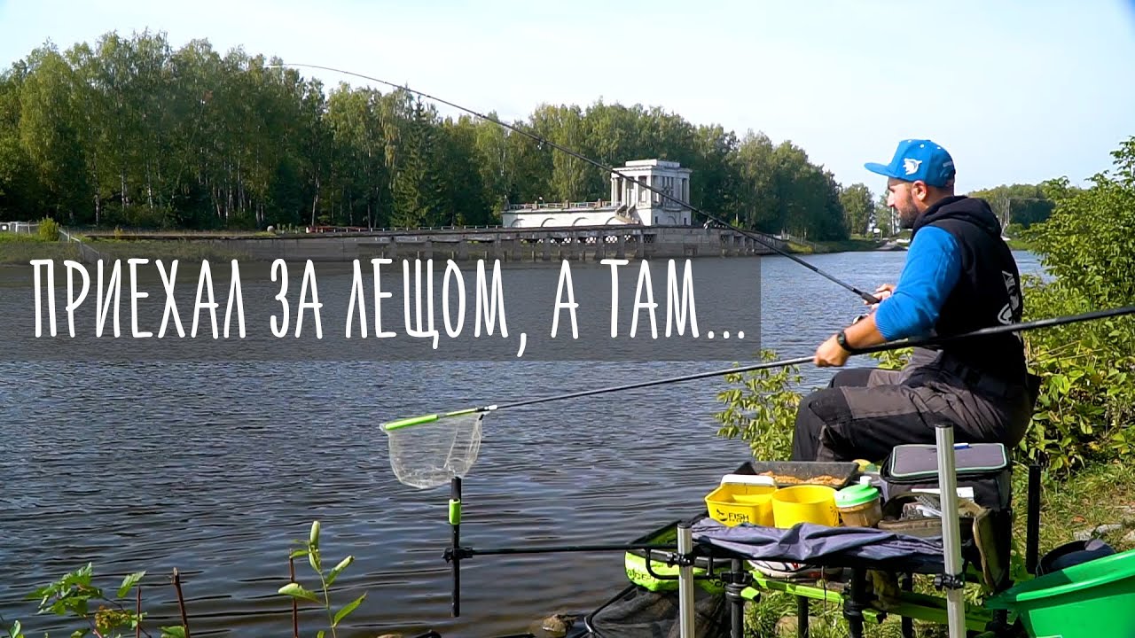 Фидер на Канале им. Москвы / Олег Квициния