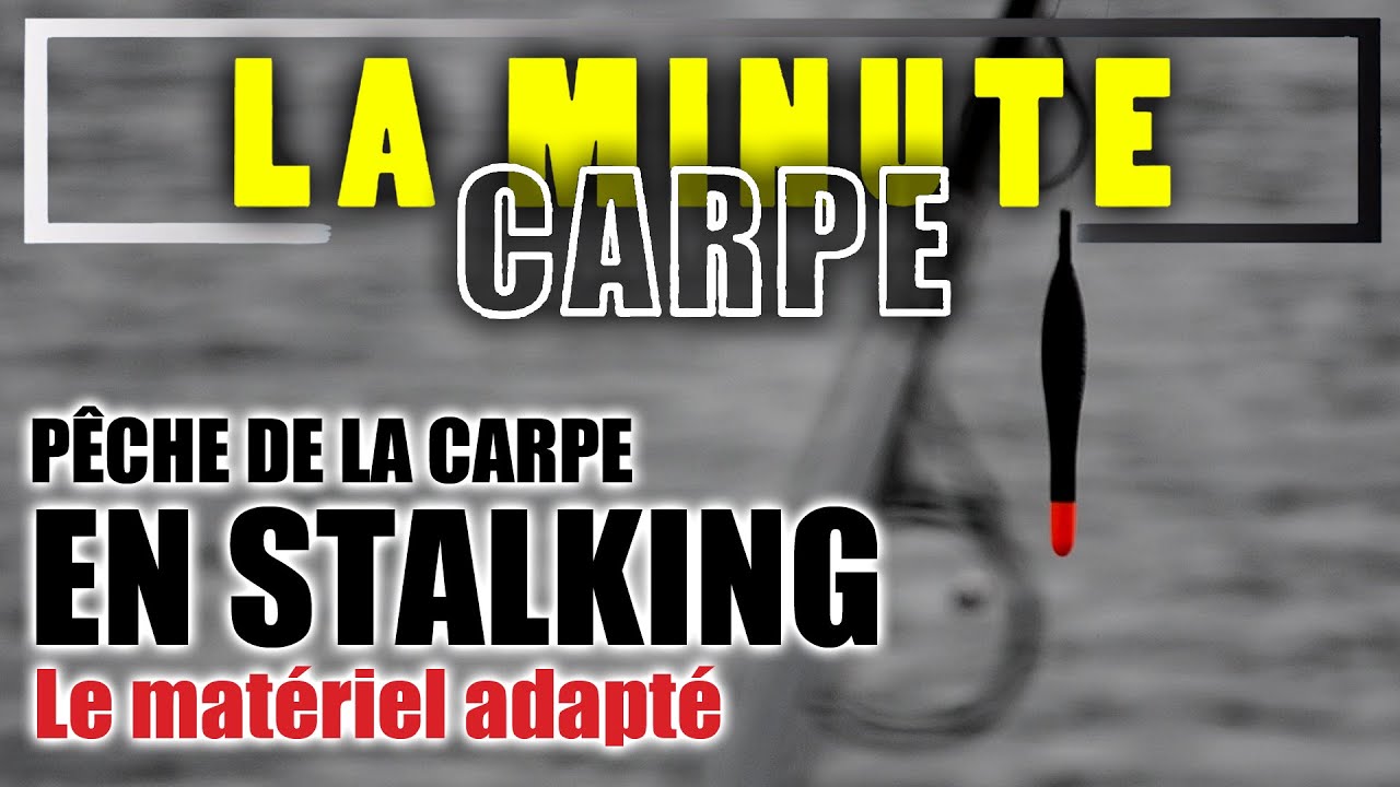 Le mat&eacute;riel pour la p&ecirc;che de la carpe en Stalking - La Minute Carpe