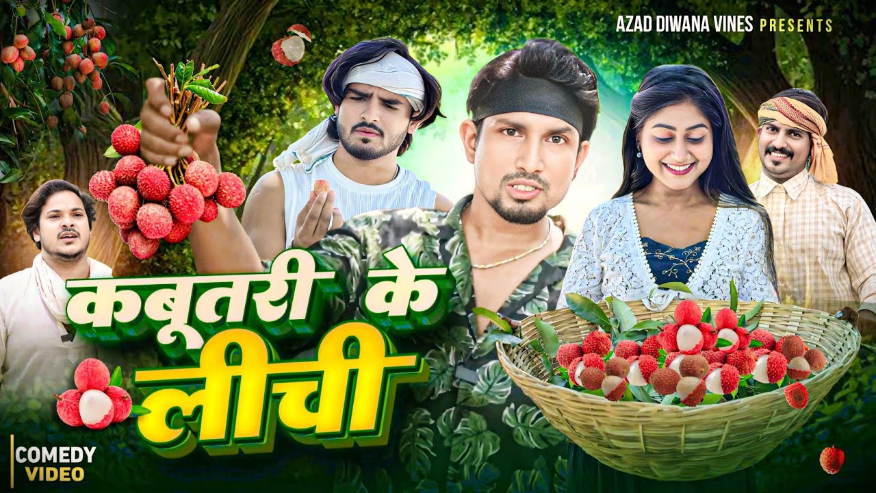 कबूतरी के लीची // kabutari ke lichi // comedy video / mani meraj vines // azad diwana vines