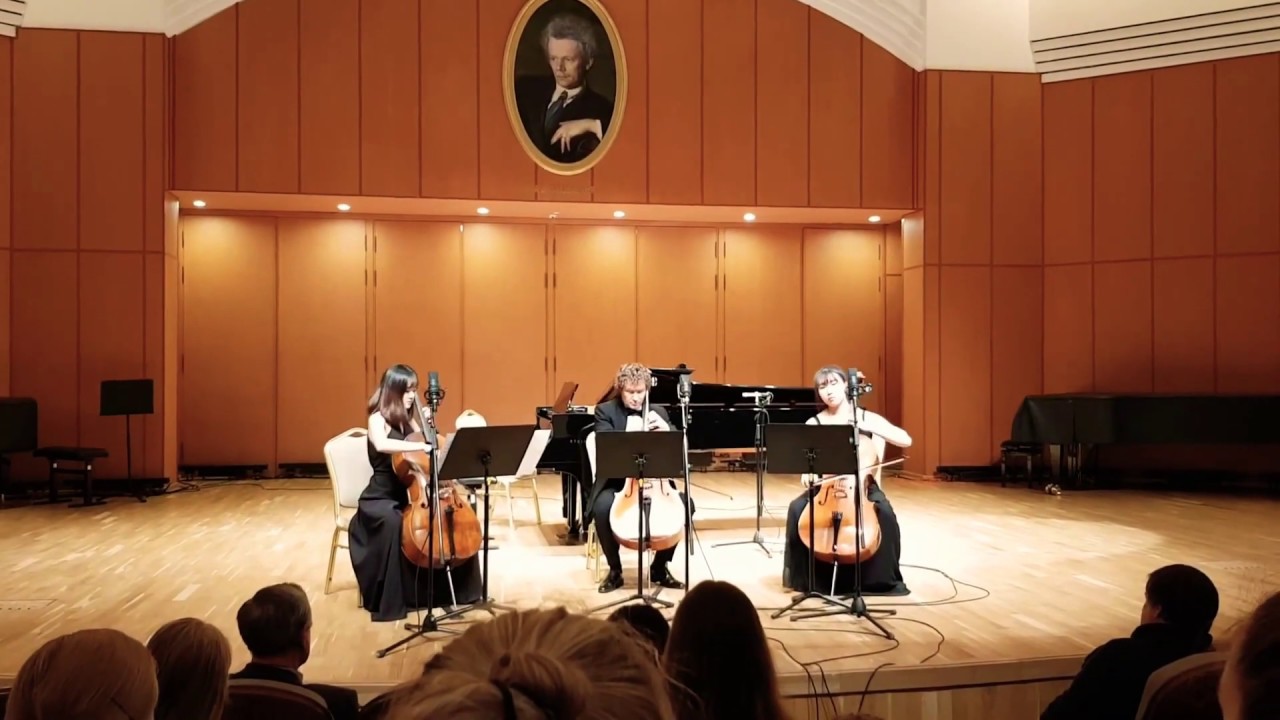 J. Haydn - Divertimento D Major (Cello Trio)