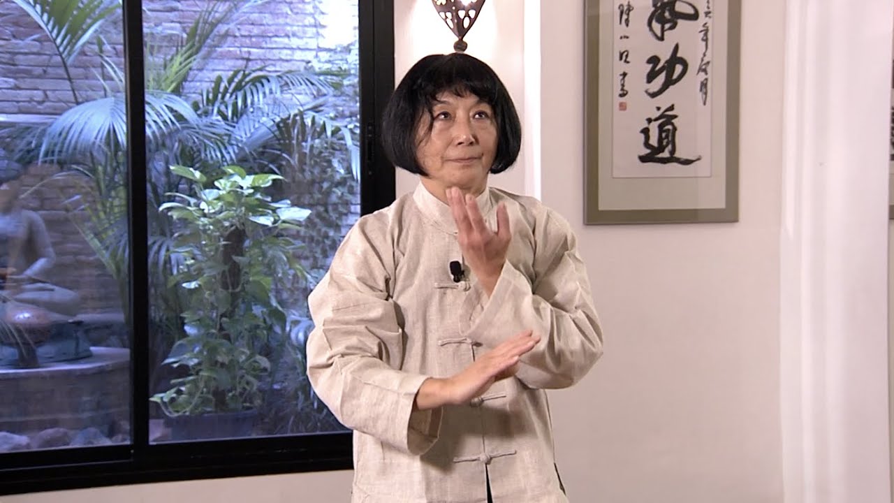 TAI CHI ONLINE | CLASE 5 | Movimiento en casa con Kazuko Onkai