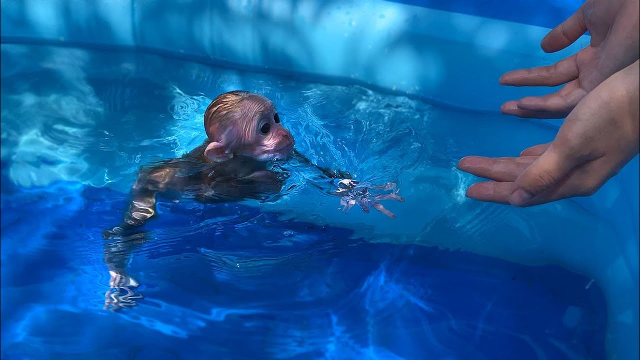 Super surprise! Mynu happy receive giant swim pool from mom