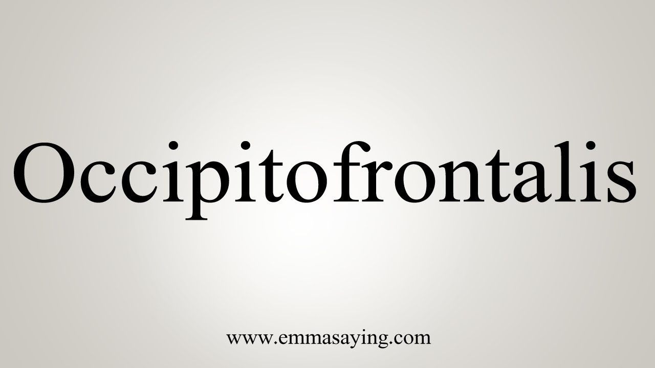 How To Say Occipitofrontalis